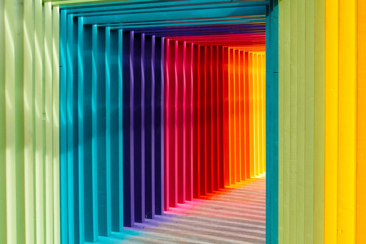 Color Mastery: The Guide to Striking Visuals in Video.